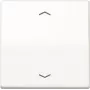 JUNG AS 1700 P WW Steuertaste Standard Pfeilsymbole AS1700PWW