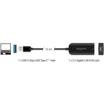 DeLOCK 66045 Adapter USB 5 Gbps Typ-A zu 2,5 Gigabit LAN RJ45 Schwarz