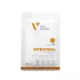 VETEXPERT Intestinal Cat 100 g – Huhn, 38% Protein, 20% Fett, für ausgewachsene Katzen, Bauchspeicheldrüsenschwäche