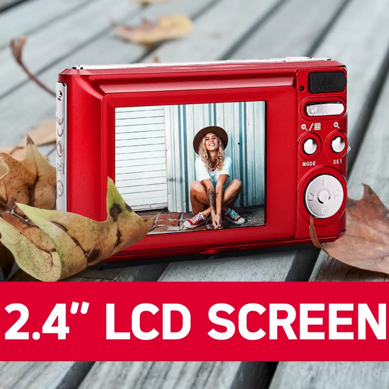 AGFA DC5500 Rot