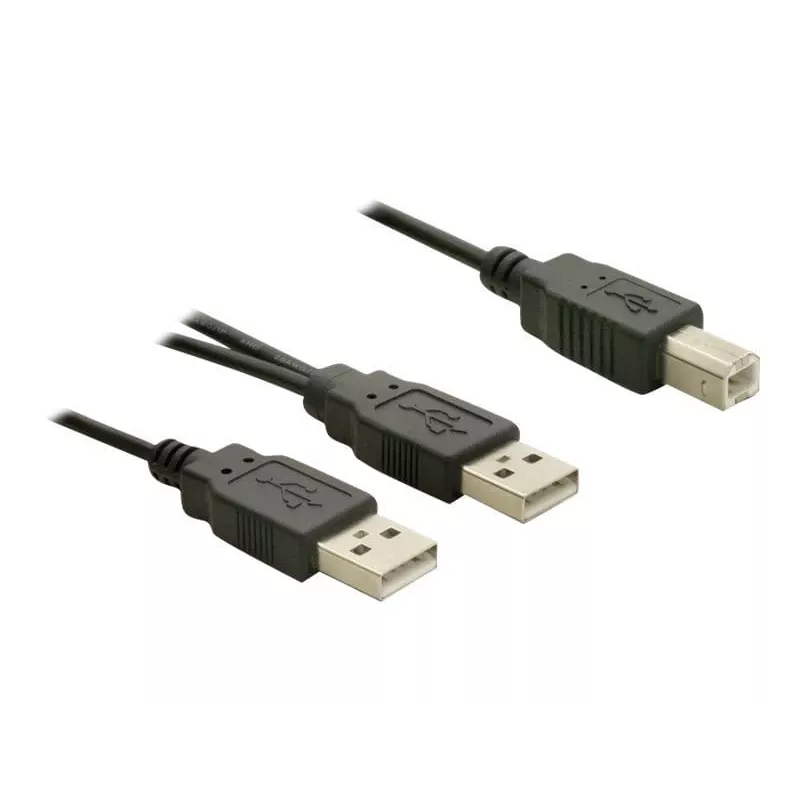 USB-Kabel DeLOCK USB-B/USB-A Kabel 1 m Schwarz