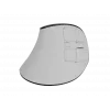 Kabellose Vertikalmaus NATEC Euphoniе Pro Bluetooth 5.0, 4000 DPI, programmierbar, leise, weiß
