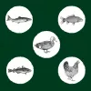 Trockenfutter für Katzen Eden Original Cousine 10 kg – Alleinfuttermittel für ausgewachsene Katzen, 43 % Protein, 23 % Fett, getreide- und glutenfrei