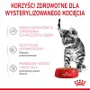 Nassfutter für Katzen Royal Canin Sterilised Gravy, 12 x 85 g Beutel — Huhn, für kastrierte Kätzchen, 11 % Protein, 80,5 % Feuchtigkeit