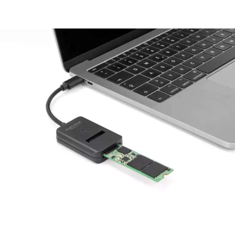 DeLOCK Combo-Konverter für M.2 NVMe PCIe SATA SSD USB Type-C 10 Gbit/s