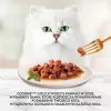 Purina Katzen Nassfutter 85 g