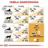 Royal Canin Bengal Adult Trockenfutter für Katzen 2 kg — Geflügel, 40 % Protein, 18 % Fett, Verdauungs- & Hautpflege