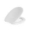 Toilettensitz Beldray LA030252UFFEU7 — antibakteriell, pflegeleichtes Design