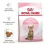 Trockenfutter für Katzen Royal Canin Kitten Sterilised 3,5 kg — Geflügel, 34 % Protein, 12 % Fett