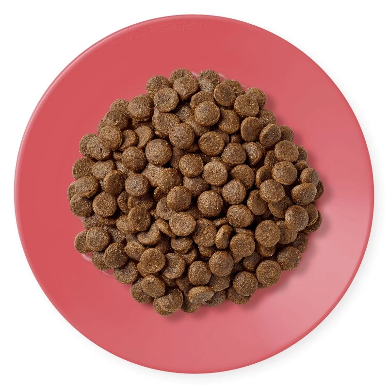 APPLAWS Adult Chicken mit Ente - Trockenfutter für Katzen - 400g