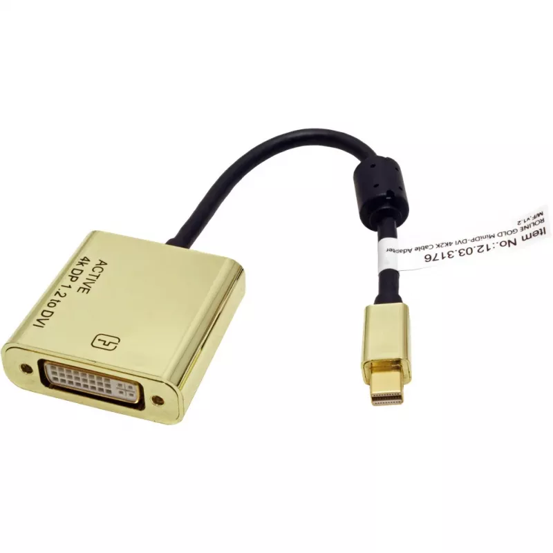 Videokabel-Adapter ROLINE 12.03.3176 Mini DisplayPort auf DVI-D 0,1 m