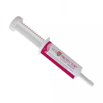 Flüssiges Darmunterstützungs-Supplement JM Sante VET PROTECTOR Gastro Butyrate 60 ml für Hunde und Katzen, Nahrungsergänzung, sojafrei, glutenfrei