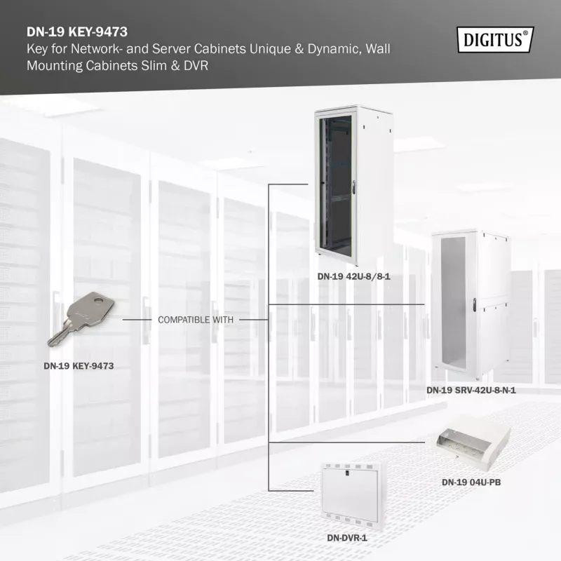 Schlüssel für Netzwerk- und Serverschränke Digitus DN-19 KEY-9473