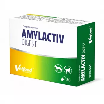 VETFOOD Amylactiv digest für Hunde und Katzen 30 Kapseln