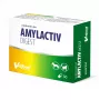 VETFOOD Amylactiv digest für Hunde und Katzen 30 Kapseln