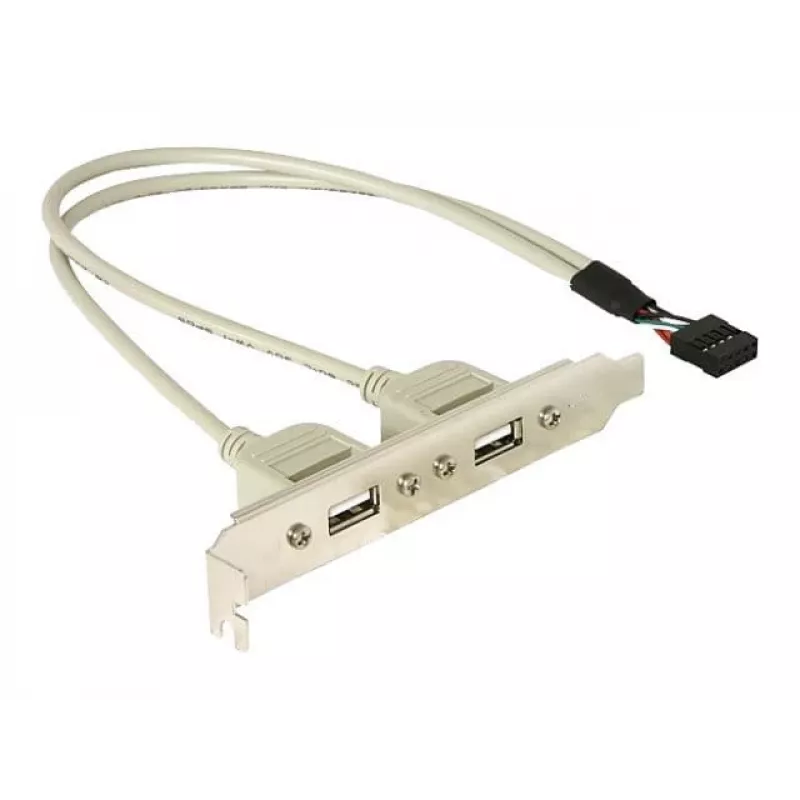 Slotbracket 1x interner USB 5-Pin auf 2x externe USB 2.0 DeLOCK 71000