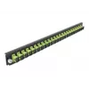 Splice Box Frontplatte DeLOCK 19 Zoll 24 Port SC Simplex limettengrün