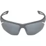 Alpina Nylos HR Sonnenbrille Kat. 3 Grau