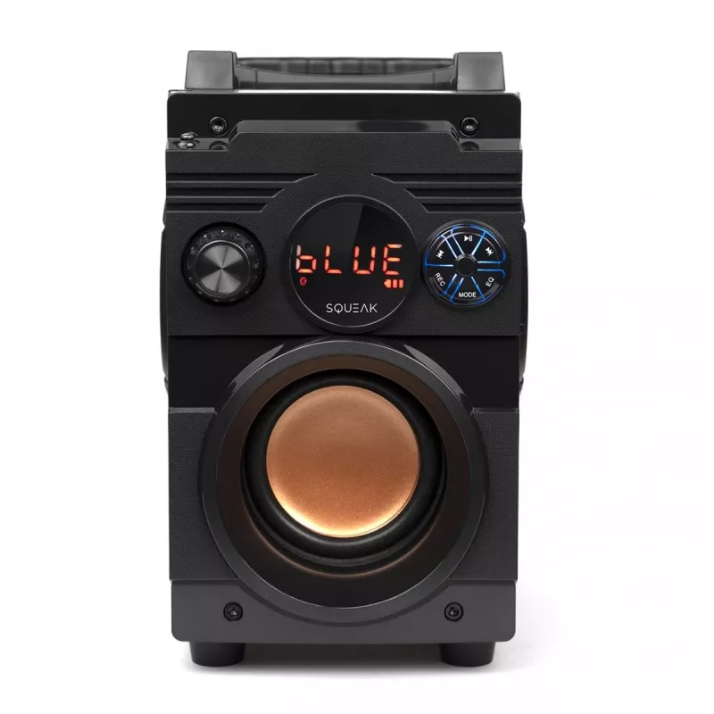 Squeak Bassblaster Bluetooth 5.1 Lautsprecher, FM-Radio, MP3-Player SQ1001