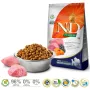 FARMINA N&D Pumpkin Lamb&Blueberry Adult Medium & Maxi - Trockenfutter für Hunde - 12 kg