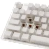 Ducky One 3 TKL Tastatur Gaming USB QWERTY Englisch Weiß