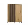 KAMARO 2DD schlank/GŁ Eiche ARTISAN DISPLAY CABINET