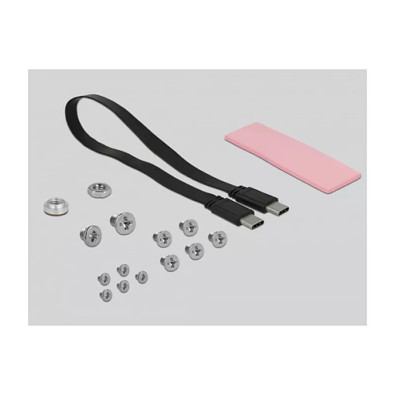 SSD-Gehäuse DeLOCK 42609 Schwarz M.2