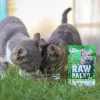 Nassfutter für Katzen VETEXPERT RAW PALEO Adult Sterilised Game 100 g — Wild, getreidefrei, für Neigung zu Übergewicht