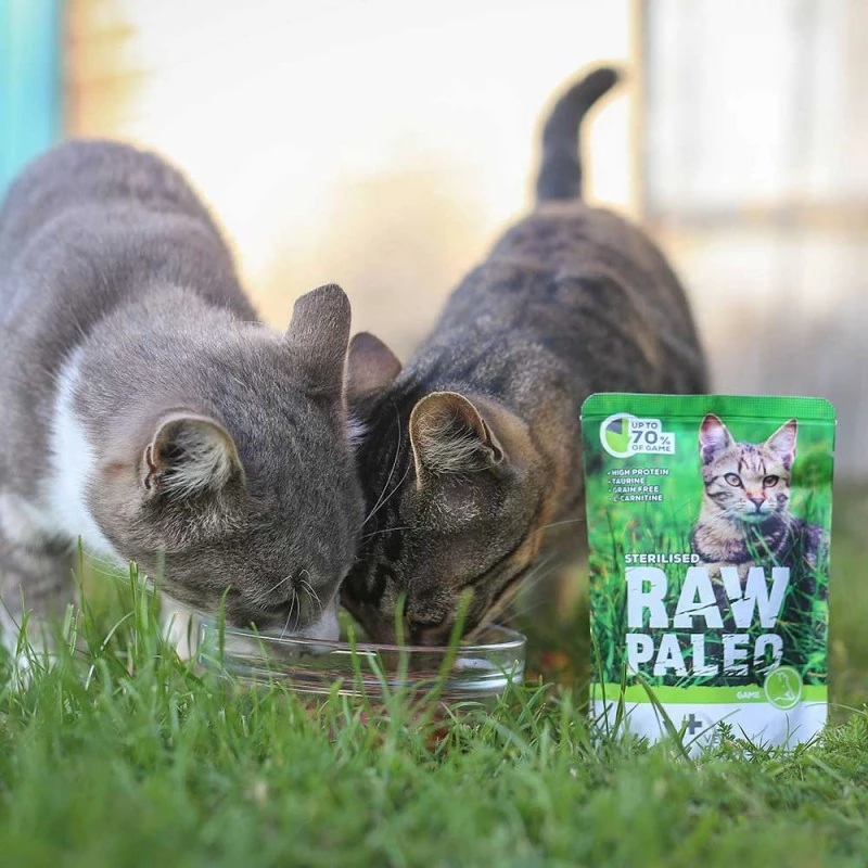 Nassfutter für Katzen VETEXPERT RAW PALEO Adult Sterilised Game 100 g — Wild, getreidefrei, für Neigung zu Übergewicht