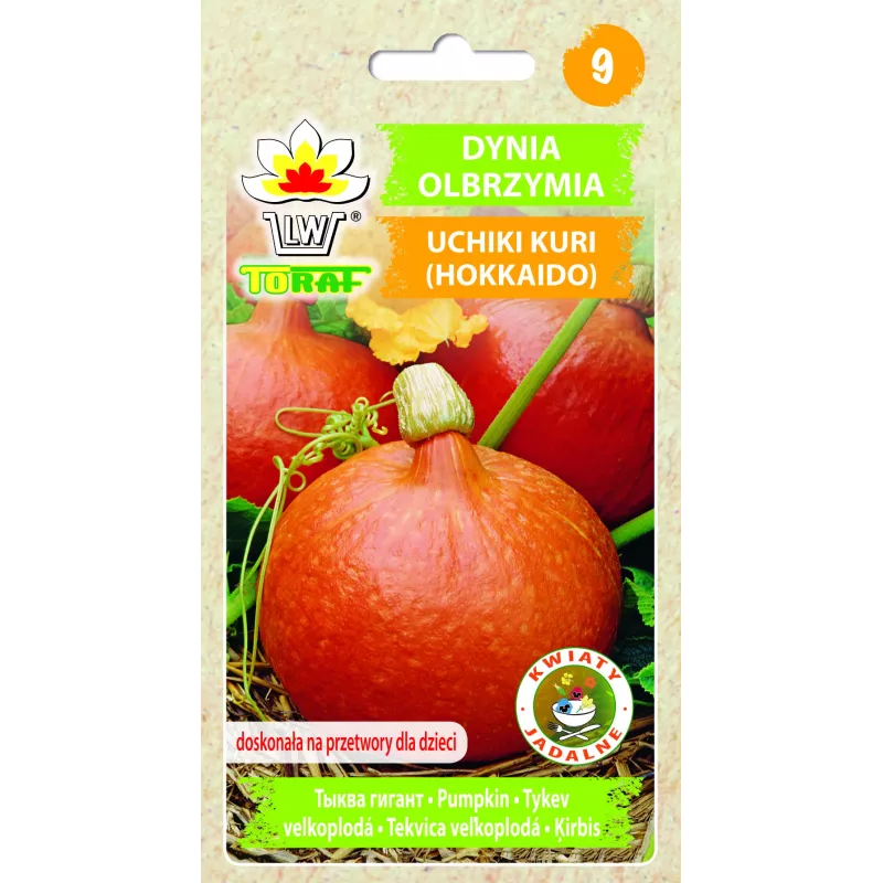Uchiki Kuri Kürbis Toraf Gemüsesamen, 5g Packung