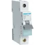 Hager MCN116 - 16 A - C-Typ - 1 Modul(e) - -25 - 60 °C - -25 - 80 °C - 17,5 mm