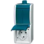 Busch-jaeger 2CKA001684A0324 Blau
