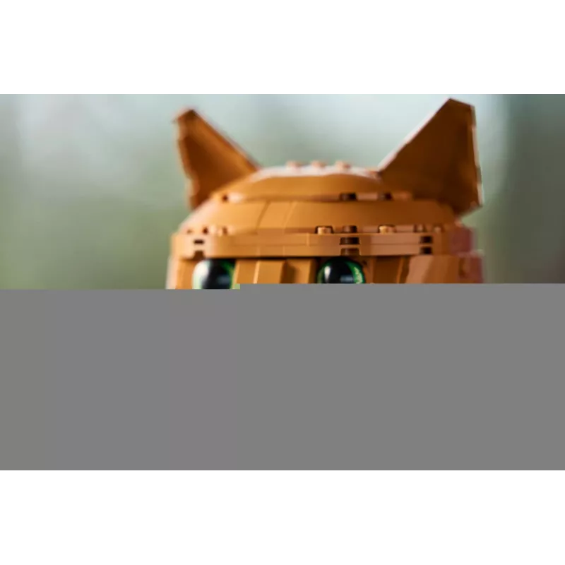 LEGO IDEAS 21376 Orange Cat