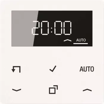 JUNG A 1750 D WW Zeitschaltuhr Standard Anzeige Glasfront