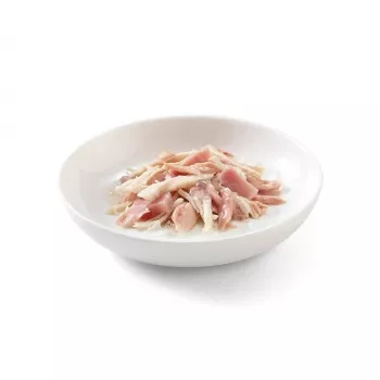 SCHESIR in Gelee Thunfisch und Huhn mit Schinken - Nassfutter für Katzen - 50 g