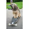 Longboard Muuwmi Lights GLOW ABEC 7 mit leuchtenden Rollen, schwarz/grün