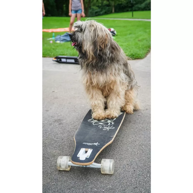 Longboard Muuwmi Lights GLOW ABEC 7 mit leuchtenden Rollen, schwarz/grün