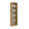 Bücherregal Top e shop R50 ARTISAN — Eichenfinish, 5 Regalböden, Spanplattenrahmen