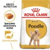Royal Canin Poodle Adult Trockenfutter für Hunde 1,5 kg — Huhn, 30 % Protein, 19 % Fett