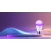 Xiaomi Smart LED-Lampe Weiß und Farbe - Intelligente Glühbirne