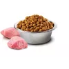 Farmina Pet Food Hundefutter Trockenfutter 2,5 g Adult Chicken