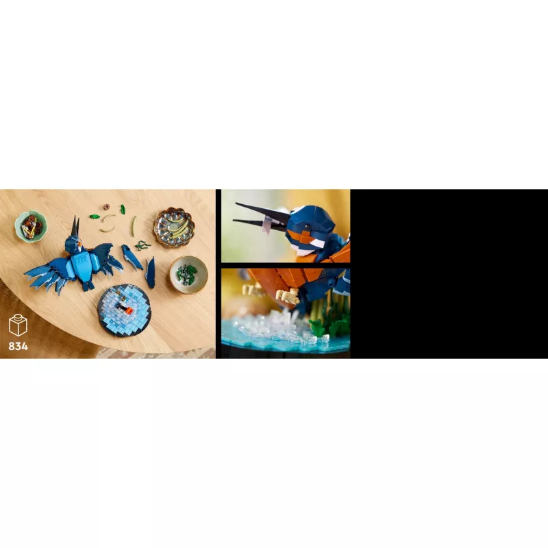 LEGO Icons Kingfisher Vogel-Set Modellbau-Set für Erwachsene mit Wasser-Setting und Ausstellungsständer, tolles Wohn- und Büro-Dekor für den Schreibtisch, Valentinstag