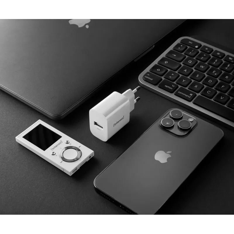 USB-A Adapter Intenso 7800512