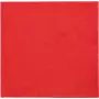 PAPSTAR Servietten Daily Collection Rot 2-lagig 16,0 x 16,0 cm 150 Stück (89640)