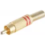 shiverpeaks BS52020-R Drahtverbinder RCA Gold (BS52020-R)