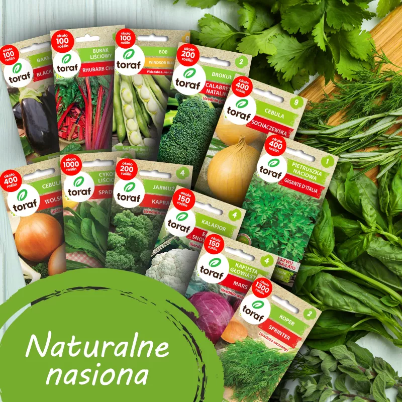 Toraf Gemüsesamen-Harmonie-Set – 12 Packungen