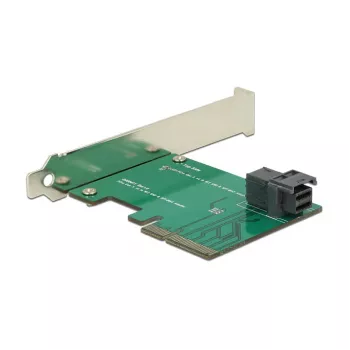 Schnittstellenkarte DeLOCK 89458