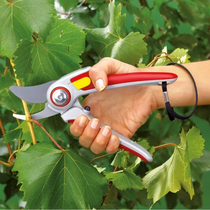 Rasenmäher WOLF-Garten RR 5000 ALU-PROFESSIONAL