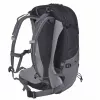 Backpack Deuter Futura 21 L Grau