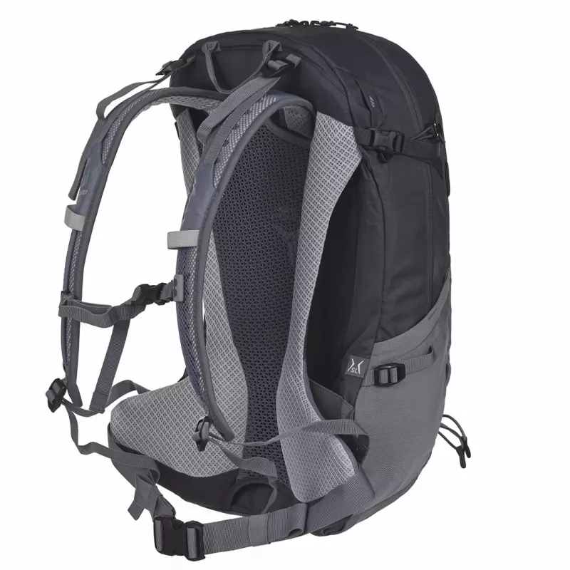 Backpack Deuter Futura 21 L Grau